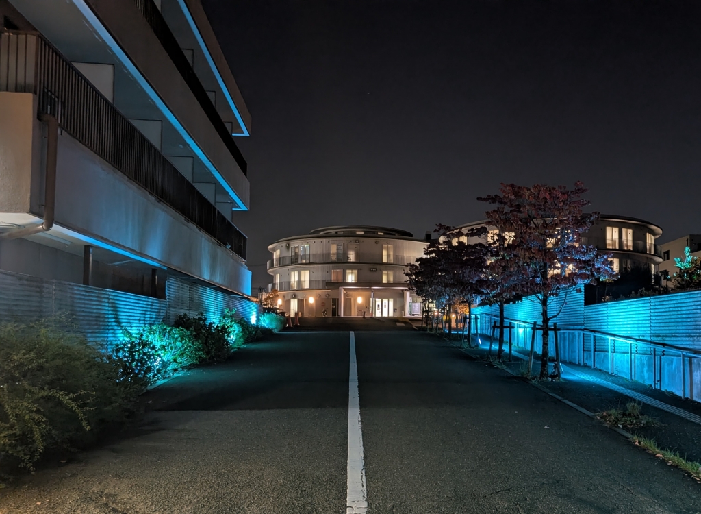 国際糖尿病デーと糖尿病月間