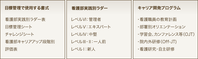 目標管理で使用する書式/看護部実践別ラダー/キャリア開発プログラム