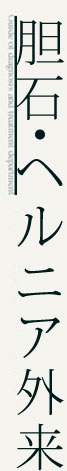 胆石・ヘルニア外来 胆石・ヘルニア外来